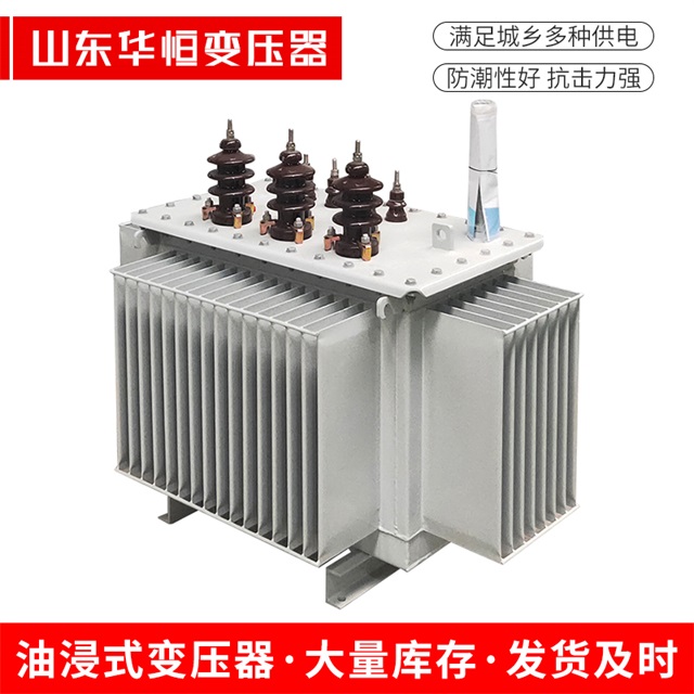 S13-10000/35蕉岭蕉岭蕉岭油浸式变压器厂家